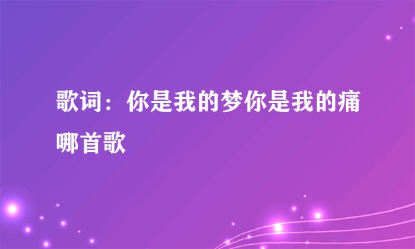 歌词:你是我的梦你是我的痛哪首歌