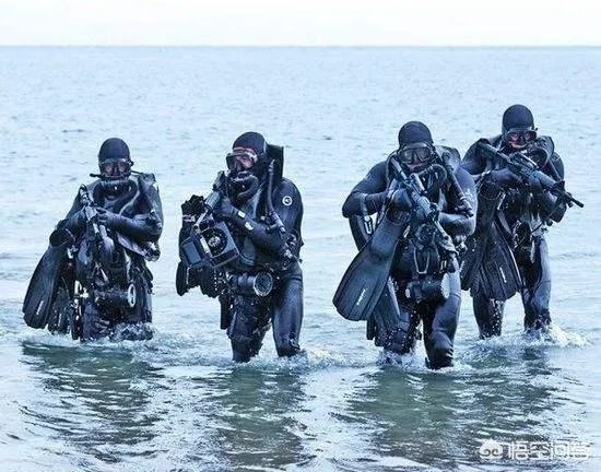 美国的特种作战部队有哪些,具体一点?
