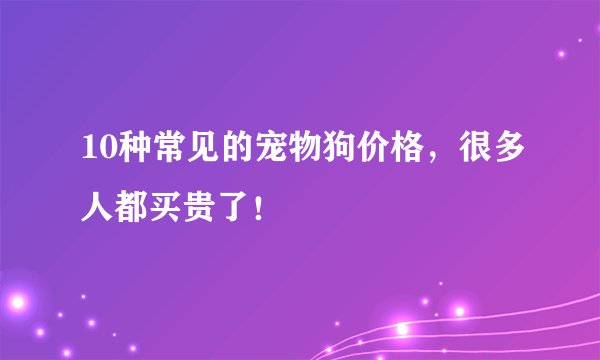 10种常见的宠物狗价格，很多人都买贵了！