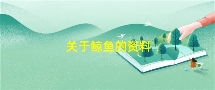 关于鲸鱼的资料