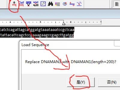 dnaman怎么看序列比对