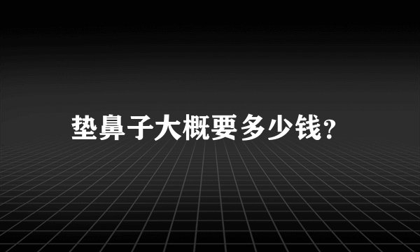 垫鼻子大概要多少钱？