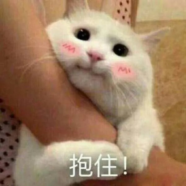 如何评价刘晓洁主演电视剧《我是机器人》？