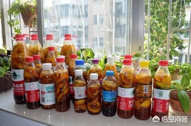 家庭养花自制花肥的办法有哪些?