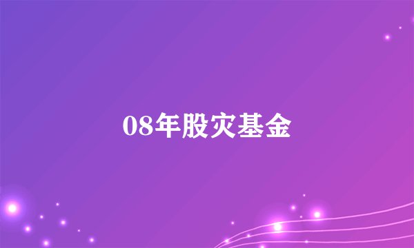 08年股灾基金