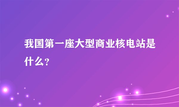 我国第一座大型商业核电站是什么？