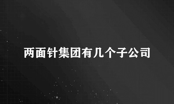两面针集团有几个子公司