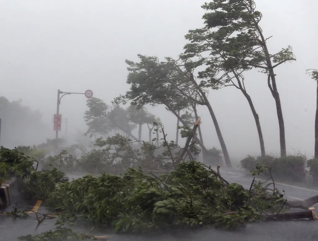 台风海高斯预计20号登陆,台风是如何命名的?
