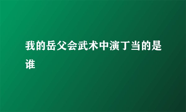 我的岳父会武术中演丁当的是谁