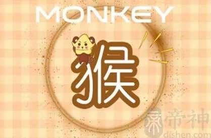 猴年出生的人命运如何 属猴男命运会怎么样
