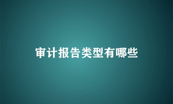 审计报告类型有哪些
