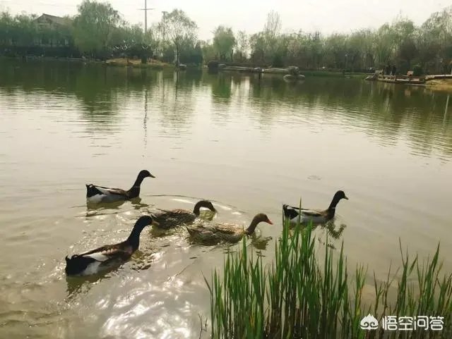 荥阳都有什么好玩的地方?