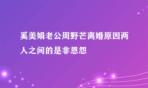 奚美娟老公周野芒离婚原因两人之间的是非恩怨