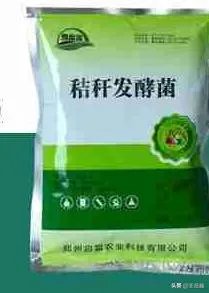 长期保存菌种的方法?