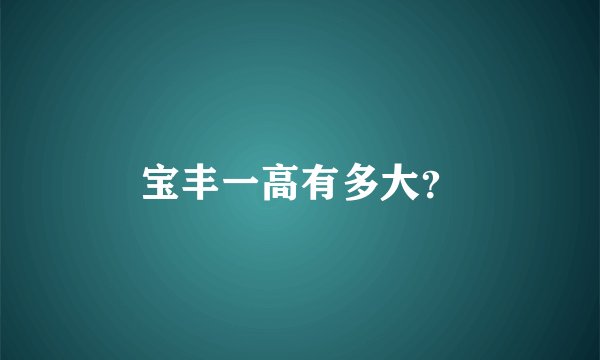 宝丰一高有多大?