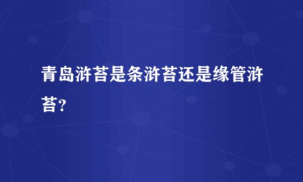 青岛浒苔是条浒苔还是缘管浒苔?