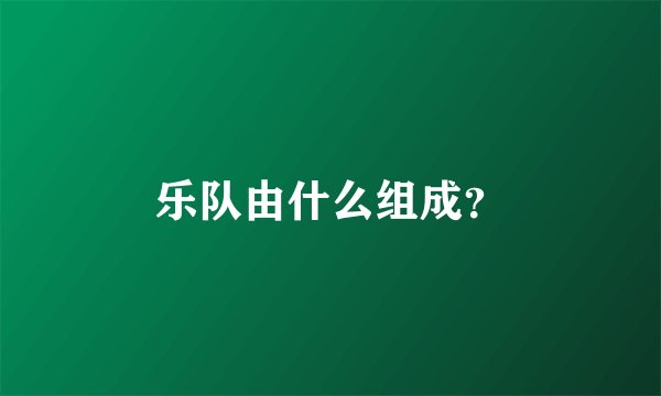 乐队由什么组成？