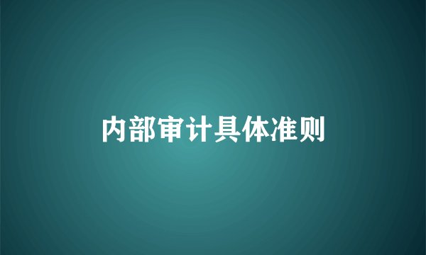 内部审计具体准则