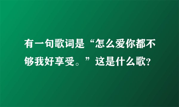 有一句歌词是“怎么爱你都不够我好享受。”这是什么歌?
