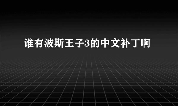 谁有波斯王子3的中文补丁啊