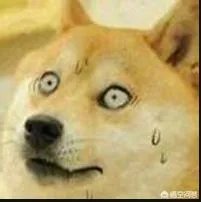 大家分享一下最搞笑的头像图片？