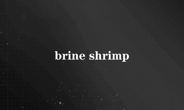 brine shrimp