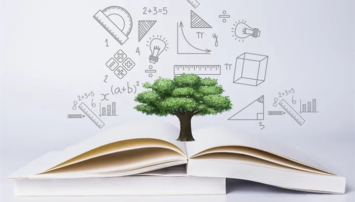 学位证书编号怎么查询 学位证书编号应该怎么查询