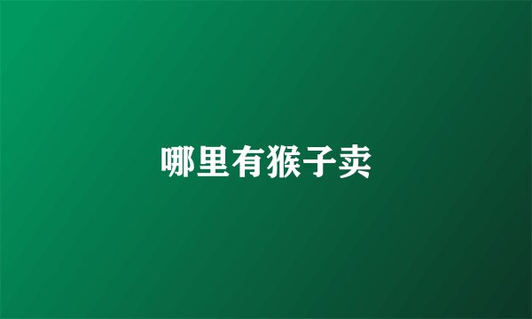 哪里有猴子卖