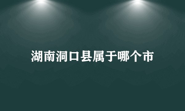 湖南洞口县属于哪个市