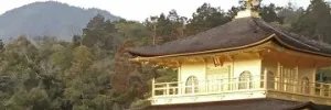日本足球联赛有直播的吗？