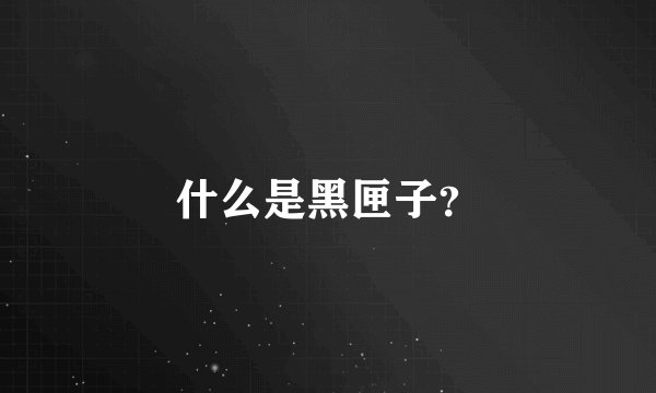 什么是黑匣子?