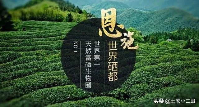 恩施有哪些土特产？