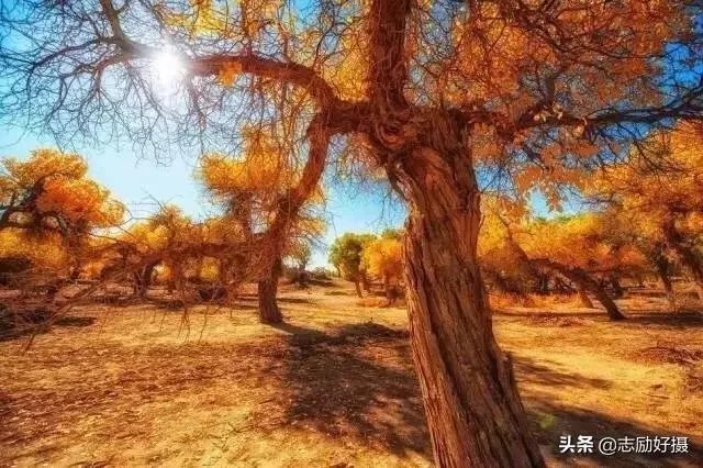 摄影拍摄的思路一般是什么?大家都怎样整理摄影思路?