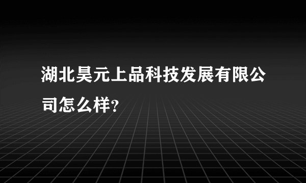 湖北昊元上品科技发展有限公司怎么样？