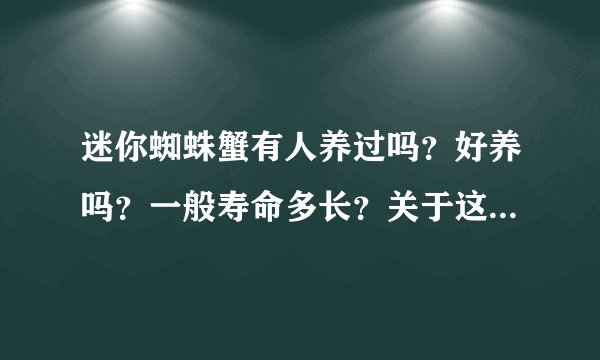 迷你蜘蛛蟹有人养过吗？好养吗？一般寿命多长？关于这种螃蟹的资料几乎没有，只知道可以深水，放草缸里不？