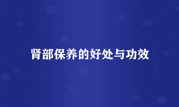 肾部保养的好处与功效