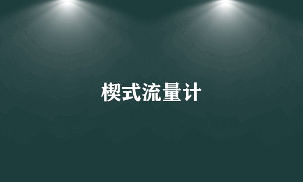 楔式流量计