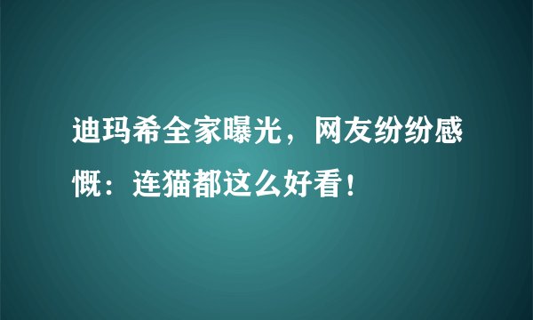迪玛希全家曝光，网友纷纷感慨：连猫都这么好看！