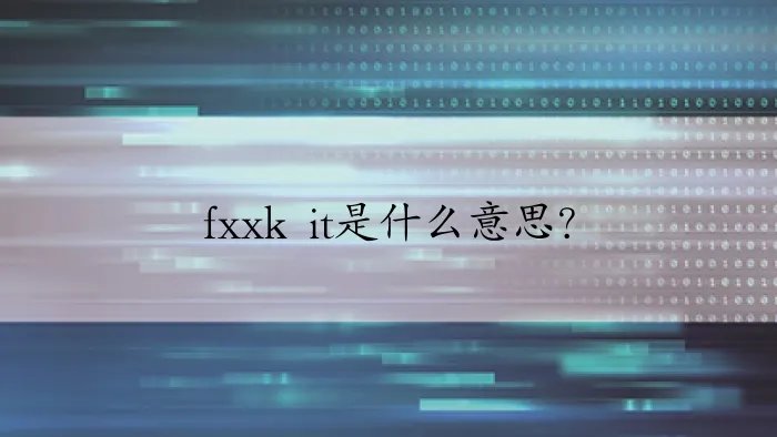 fxxk it是什么意思？