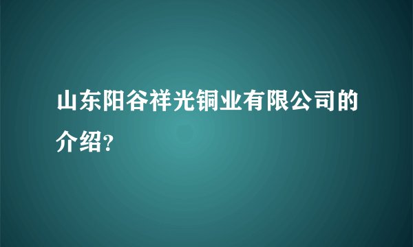 山东阳谷祥光铜业有限公司的介绍？