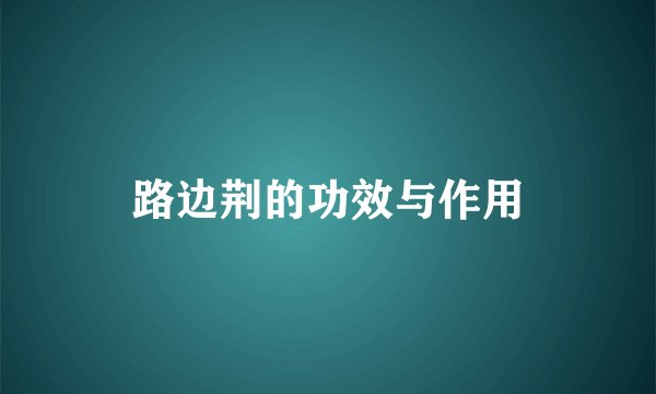 路边荆的功效与作用