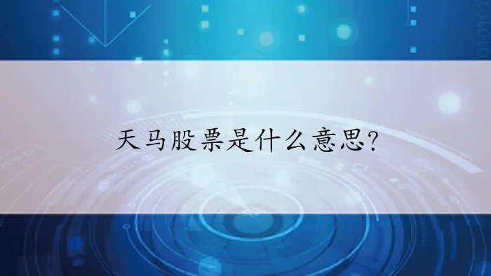 天马股票是什么意思?