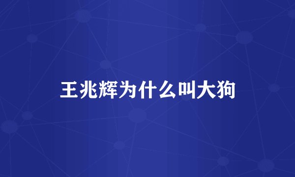 王兆辉为什么叫大狗