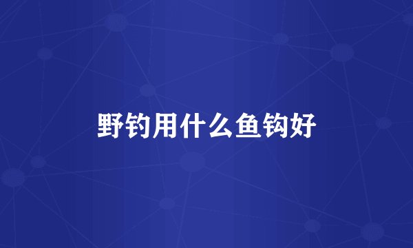 野钓用什么鱼钩好