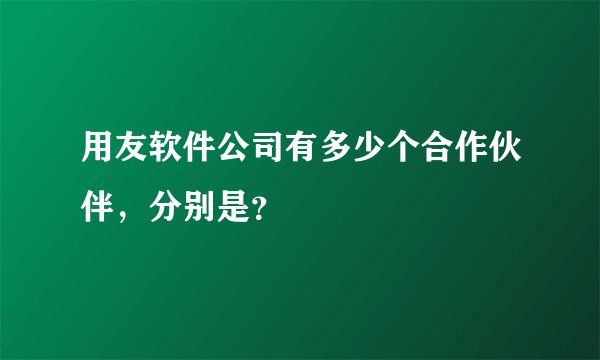 用友软件公司有多少个合作伙伴，分别是？