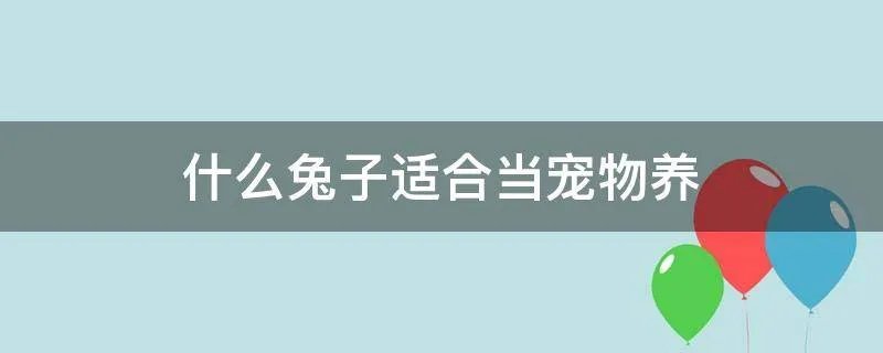 什么兔子适合当宠物养