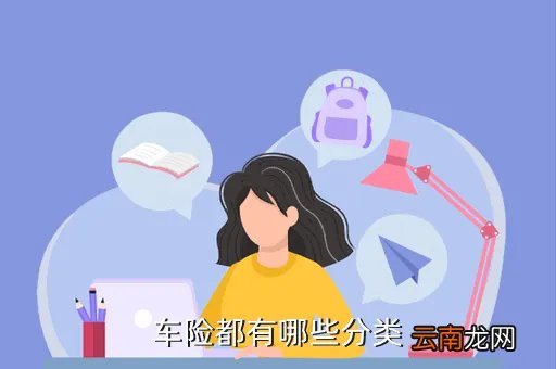 chexian，车险都有哪些分类
