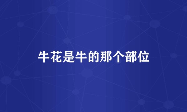 牛花是牛的那个部位