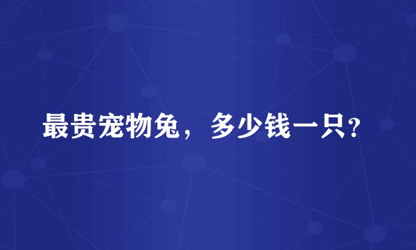 最贵宠物兔，多少钱一只？