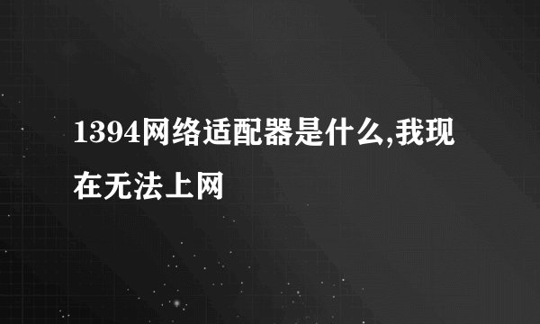 1394网络适配器是什么,我现在无法上网